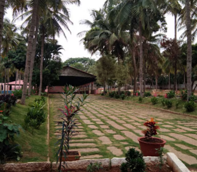 The paver walkway crossing the lawn towards the open-air convention pavilion, framed by coconut palms